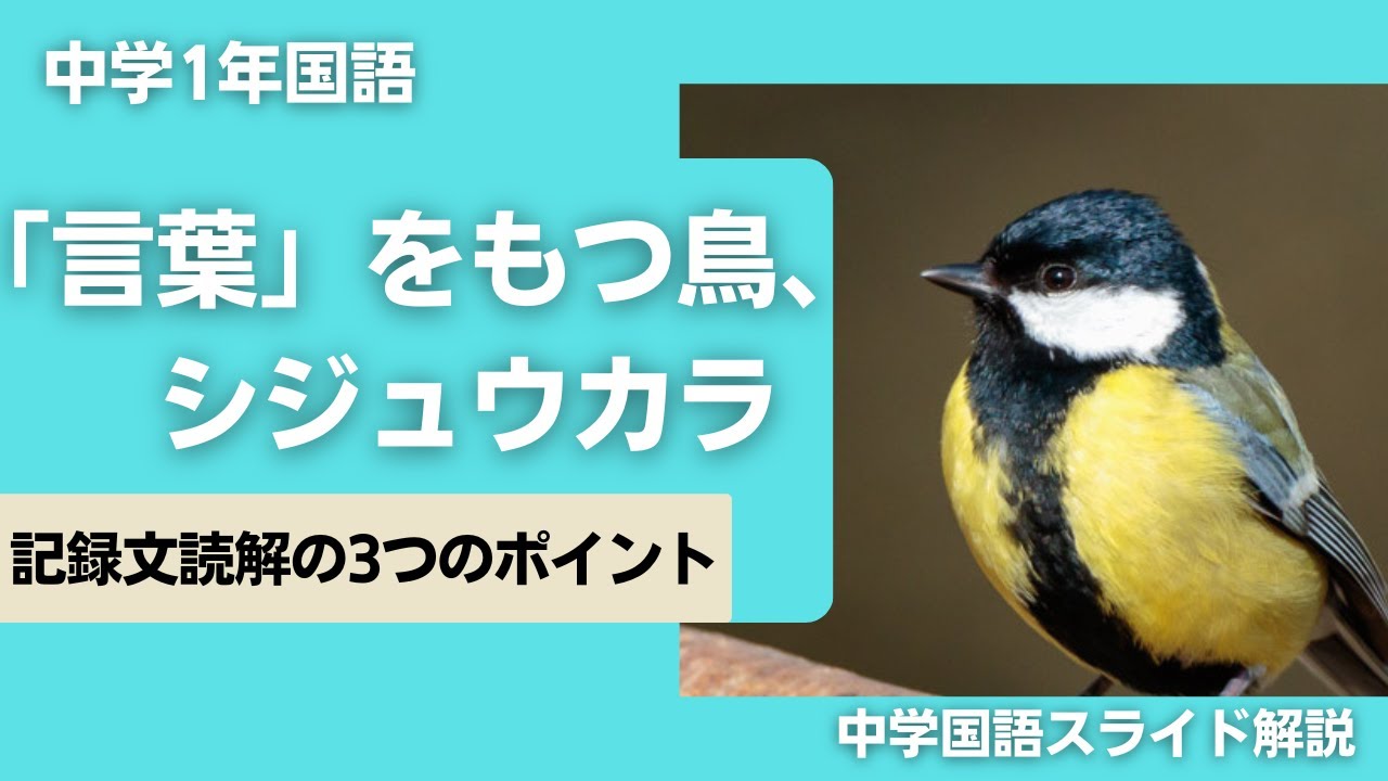 『「言葉」を持つ鳥、シジュウカラ』鈴木俊貴　解説授業【中１国語】