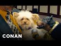Triumph The Insult Comic Dog Hits The Golden Collar Awards - CONAN on TBS