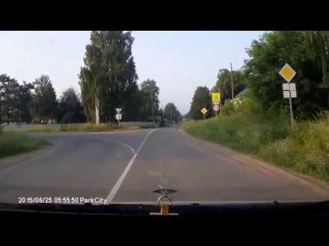 Бабка с собачкой