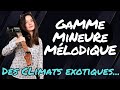 Climats exotiques avec la gamme mineure melodique  anouck andr  guitare xtreme magazine 129