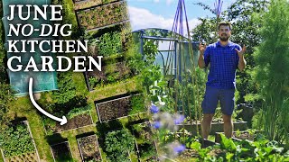 Productive Edible Permaculture Garden Tour🌱