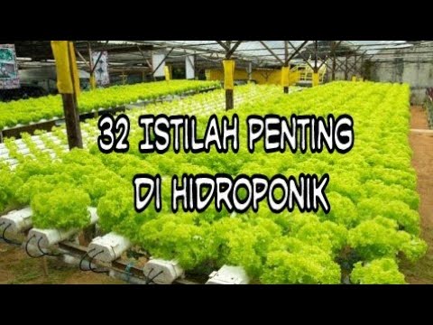 Perlu diketahui Inilah