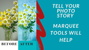 How to Use the Marquee Tools in Photoshop