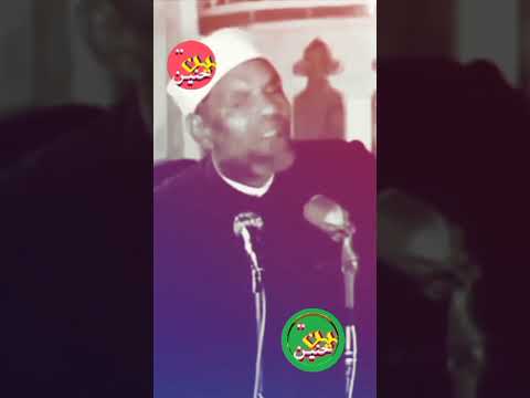 تفاسير الشيخ محمد الشعراوي رحمه الله الدين والشهادة
