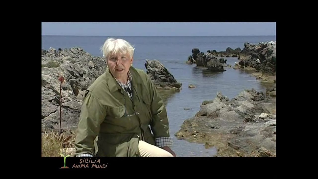 SICILIA ANIMA MUNDI: le saline di Marsala