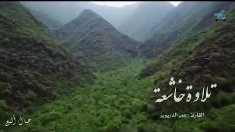 ما تيسر من سورة الزمر الشيخ القارئ (عمر الدريوز)ارح سمعك 🎧