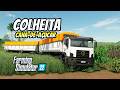 COLHEITA DE CANA-DE-AÇUCAR | FARMING SIMULATOR 22