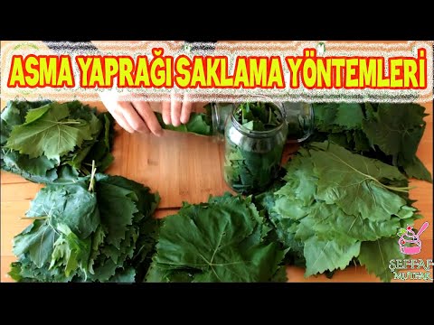 ASMA YAPRAĞI SAKLAMA YÖNTEMLERİ👌🏻 3 FARKLI SAKLAMA🍃SALAMURA VAKUM ve DONDURUCU /ŞEFFAF MUTFAK