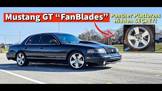 Rare MUST HAVE Cheap Performance Wheels for Your Crown Vic!! 05-06 Mustang GT "Fan Blades"