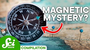 What Do Magnetic Fields Actually Do? | SciShow Compilation