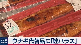 ウナギの代替品に「鮭ハラス」値段は４分の１程度