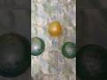 "Ballon pop magic reverse asmr🎈"#viral #balloon #asmr