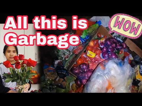 Dumpster Diving The Store Throw All Their Food Vegetables And Fruits