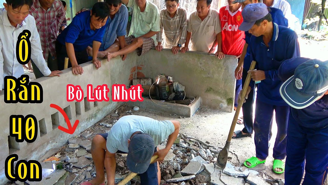 Giá Rai - Một Ổ Rắn Cùng Với Một Bầy Rắn Con Xây Hầm Trú Ẩn Bên Trong Nhà Bếp| Mười Thương Săn Bắt