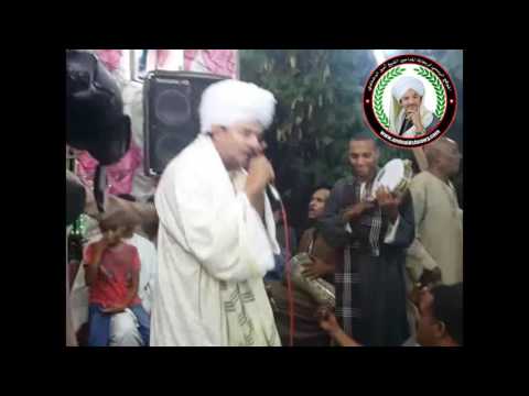 الشيخ أمين الدشناوي شربي صفا Amin Aldshnawy