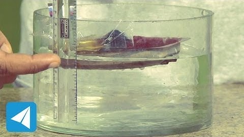 Floating objects displace water equal to their own weight | Flotation | Physics