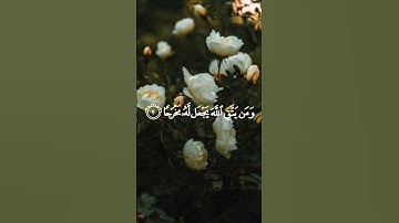 (ومن يتق الله يجعل له مخرجا) #سعد_الغامدي #اكسبلور #قرآن #قران_كريم #قران #تلاوات #السعودية #مصر