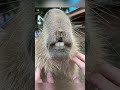 Fotos Raras Que Tienes Que Ver 90 #raras #fotos #fotosraras
