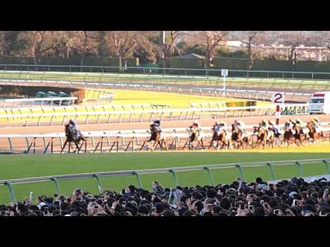【2016有馬記念】優勝馬サトノダイヤモンド・ルメール騎手