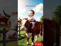 Cute Hamba рџ рџ Cow Cartoon Shorts Viwes Cows Cute Hamba рџ рџ Cow Cartoon Shorts Viwes Cows