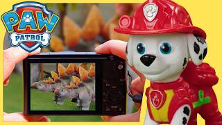 stegosaurus stampede paw patrol toy play kids