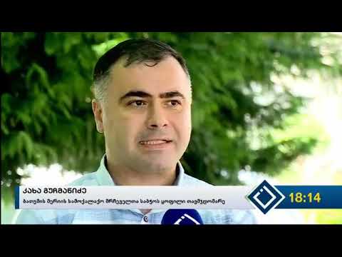 კახა გუჩმანიძე - ბათუმის მერის მოვალეობის შემსრულებელმა სამოქალაქო მრჩეველთა საბჭო დაითხოვა