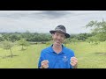 Gettysburg Battlefield Video Quiz