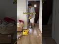 【ママ大好き】パパとママの違い!泣いてる息子はどっちを選ぶ?