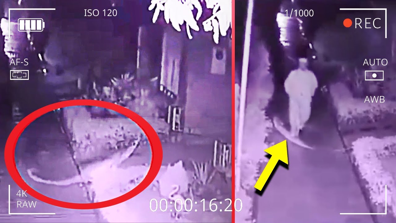 7 ВИДЕО, КОТОРЫЕ ПЫТАЛИСЬ СТЕРЕТЬ С ИНТЕРНЕТА! №5 - YouTube