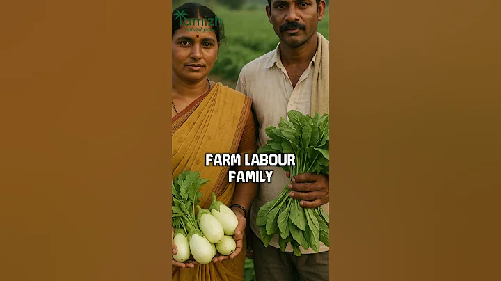 Coimbatore Farm Visit - Farm Audit #agriculture #organic #farming