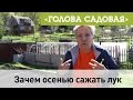 Голова садовая - Зачем осенью сажать лук