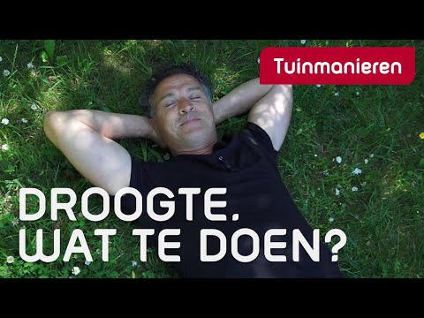 Droogte in de tuin. Wat te doen? | Zomer | Tuinmanieren