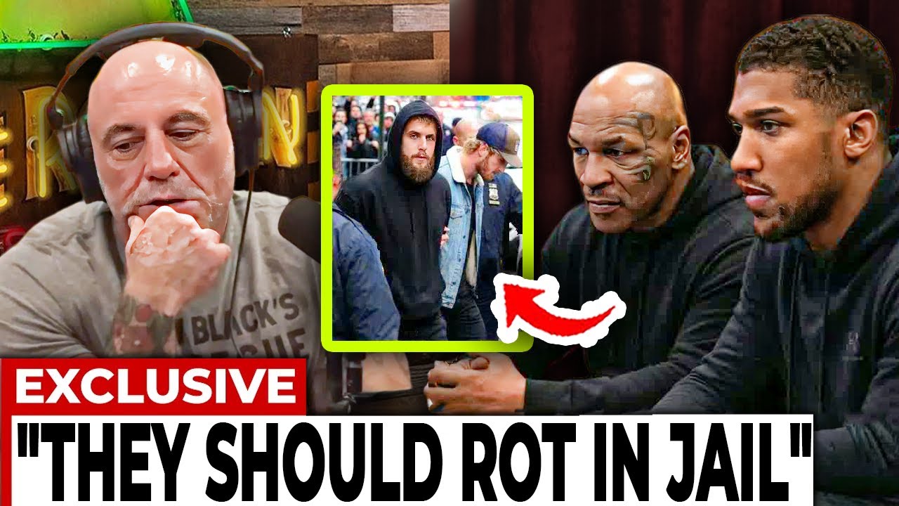 Joe Rogan Sponge Secret Joe Rogan Goes SILENT After Tyson & AJ Reveal Paul Brothers Secret ...