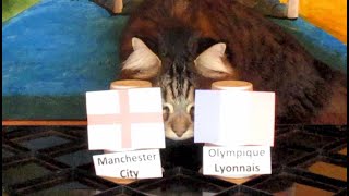 Olympique Lyonnais Vs Manchester City Fc - Cats Champions League 201920 Prediction