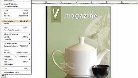 Adobe Indesign Video Tutorials in Hindi - Menu Customization - LSOIT.COM
