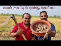 வயல் காட்டில் நண்டு வேட்டை | Village Crab Catching | Vayal Nandu VettaIi | WFT VLog