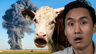 18,000 Cows Killed In Farm Explosion...Intentional Attack?!