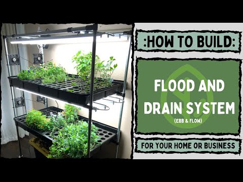 Hydroponic Flood and Drain "How-To" Custom Build!! On The Grow