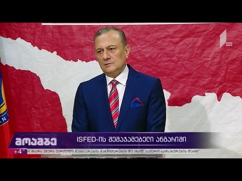 ISFED-ის შემაჯამებელი ანგარიში