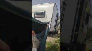 Kedi ile karavan kampı #kamp #camping #kedi #doğa