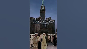واذا قرئ القران فاستمعوا له وانصتوا لعلكم ترحمون #القارئ_ياسر_الدوسري #القرآن_الكريم #راحة_نفسية