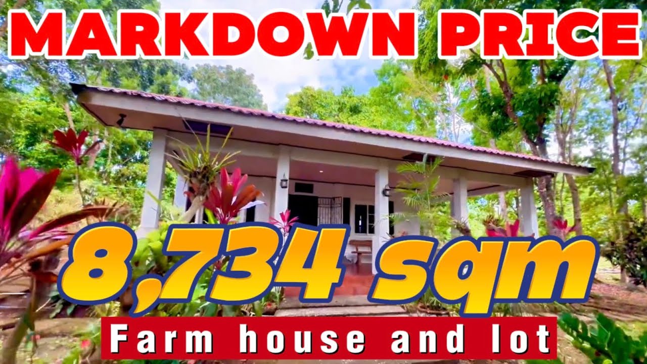 NOV-921-26 MARKDOWN PRICE 34M ‼️Farm house and lot near tagaytay 8,734 sqm along brgy road