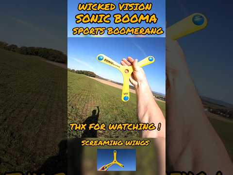 WICKED VISION 'SONIC