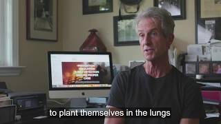 Harms of Wildfire - 5 Tips to Avoid Smoke