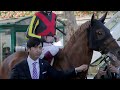 Learn About Japanese Contender Awesome Result