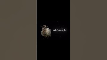 جزء من سوره الحج | قراءة الشيخ ياسر الدوسري #اكسبلور #دويتو #duet #لايك #راحة_نفسية #حالات_واتس