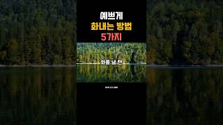 예쁘게 화내는 방법 5가지  #말습관 #감정조절 #예쁘게화내기 #감성쇼츠  #자기관리 #중년공감 #위로와충격한마디  #마음관리 #공감명언 #소통습관