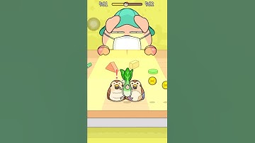 HIDE AND SEEK //CAT ESCAPE GAME 561// BOKCHOY