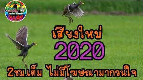 เสียงนกอีลุ้มมิกซ์ใหม่2020 ความยาว 2ชม. ไม่มีโฆษณา ค่าย ส.สุรินทร์#0990610057