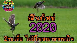 เสียงนกอีลุ้มมิกซ์ใหม่2020 ความยาว 2ชม. ไม่มีโฆษณา 0870899976 ค่าย ส.สุรินทร์